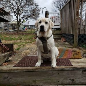 Meet your Posher, Hunter